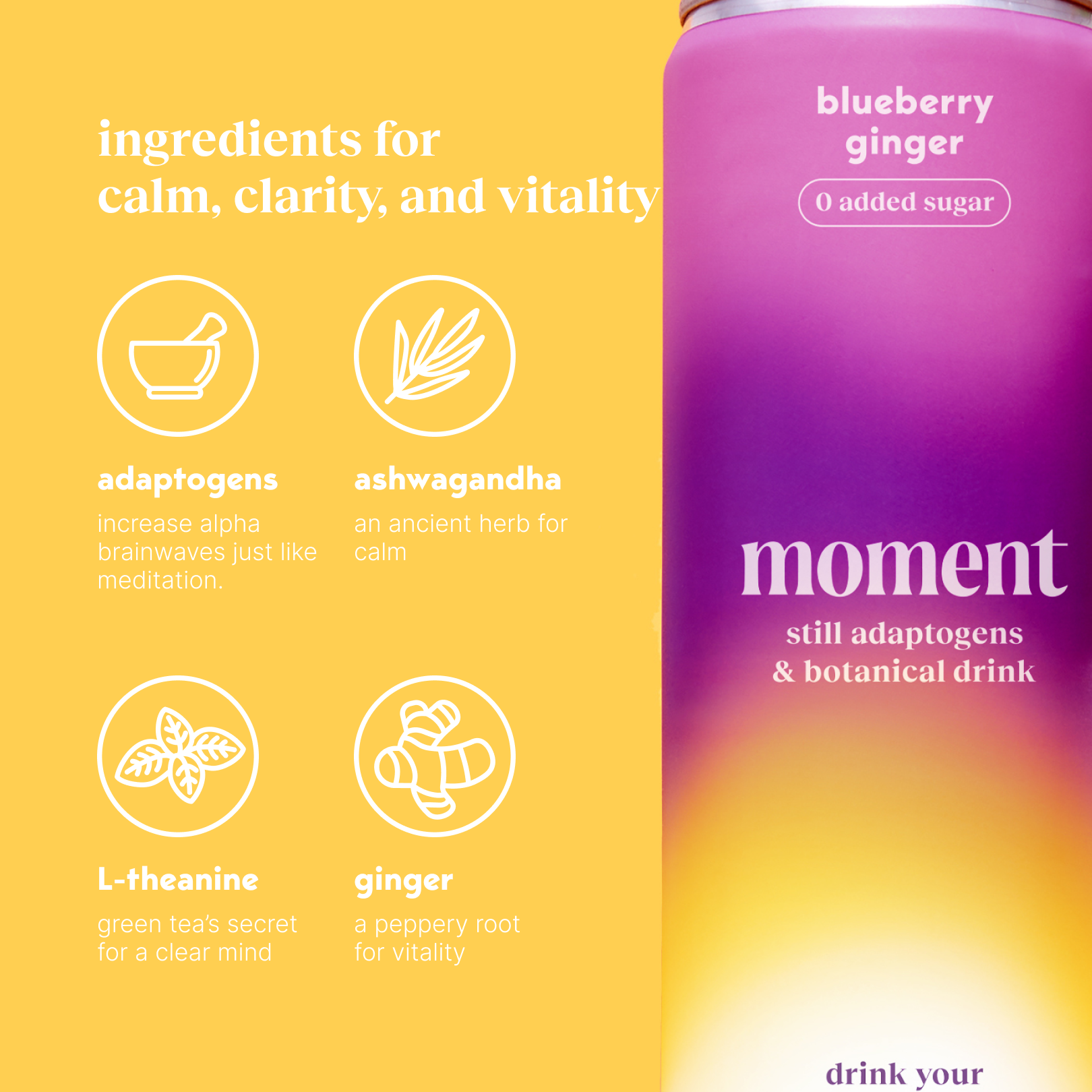 Moment Still Blueberry Ginger