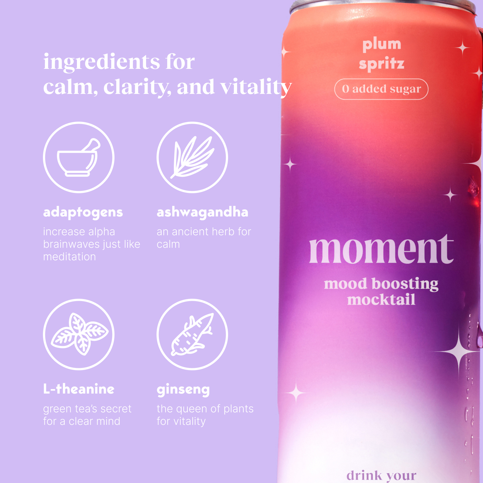 Moment Sparkling Plum Ginseng